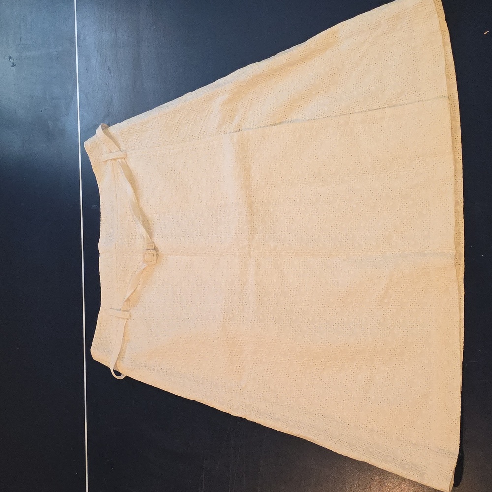 Express skirt